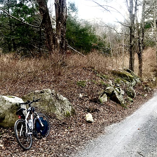 An electric, pedal-assist bicycle leans against a stone wall under a leafless tree canopy.