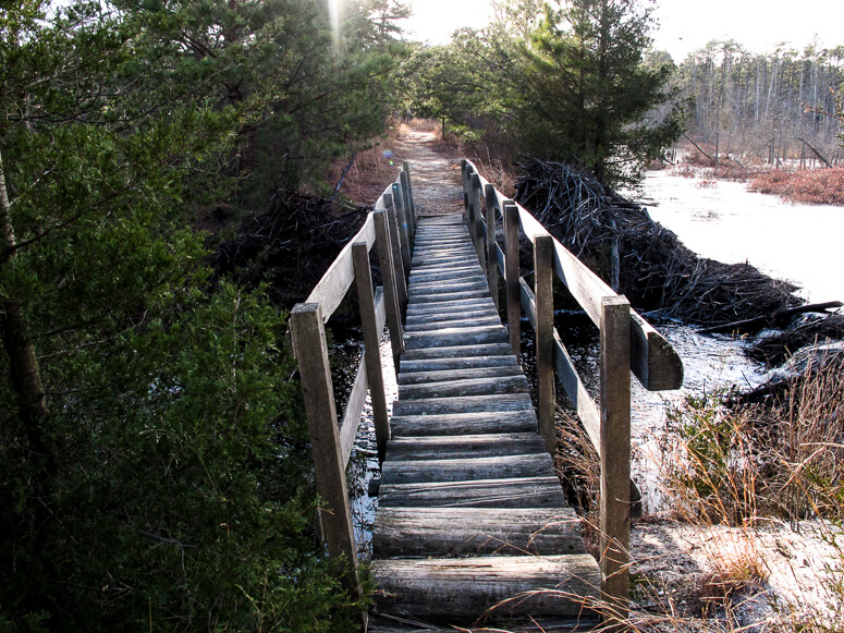 bumpy rustic wooden bridge over stream