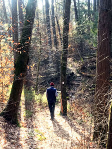 Hiker in a winter ravine