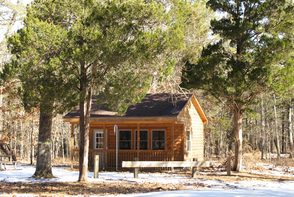A timber cabin under cedar trees in a park