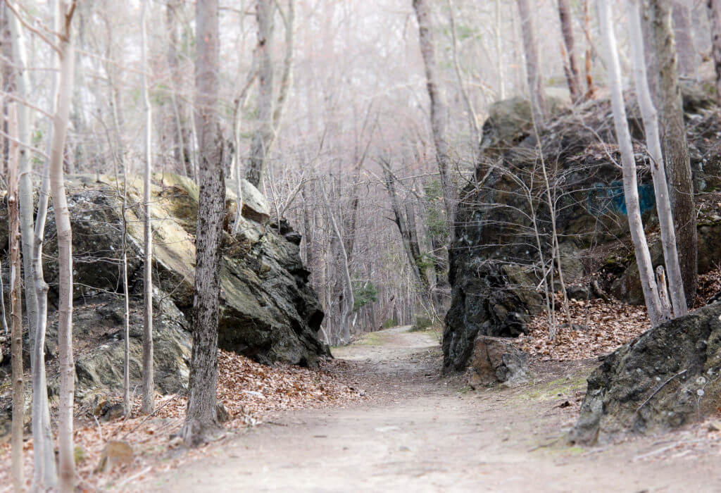 a dirt road between rocky outcrops on the Old Croton Aqueduct Trail