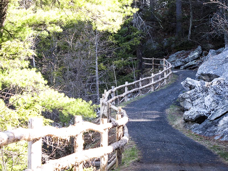 A well-tended carriage road with cedar split rail fencing